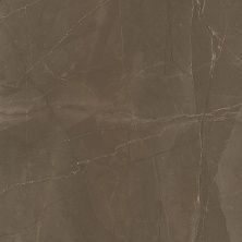 Плитка из керамогранита Eros Pulpis Shine для стен и пола, универсально 60x60