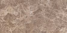 Керамическая плитка Persey коричневый 08-01-15-497 для стен 20x40