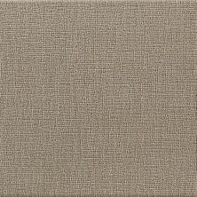 Плитка из керамогранита Pav TOULOUSE TAUPE RC для стен и пола, универсально 60x60