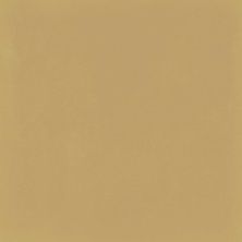 Плитка из керамогранита M1KT D_Segni Colore Mustard для стен и пола, универсально 20x20