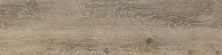 Плитка из керамогранита O-GWN-GGU114 Grandwood Natural коричневый для стен и пола, универсально 19,8x179,8