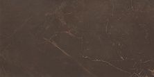 Керамическая плитка Blanket Marble Marron WT9MRB21 для стен 24,9x50