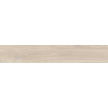 Плитка из керамогранита GRS1118S Ajanta Apple для стен и пола, универсально 20x120