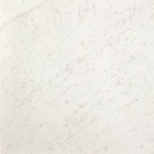 Плитка из керамогранита fNES Roma Diamond Carrara Brillante для стен и пола, универсально 60x60