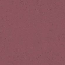 Плитка из керамогранита Gres P Goldstone Burgundy для стен и пола, универсально 60x60