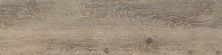 Плитка из керамогранита O-GWN-GGO114 Grandwood Natural коричневый для стен и пола, универсально 19,8x119,8