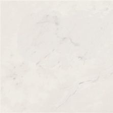 Плитка из керамогранита Wall WE0268L Statuario Living Lap для пола 59,5x59,5