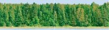 Керамическая плитка Flora Dec Forest Panno из 2-х шт КПН16Forest Панно 25x90