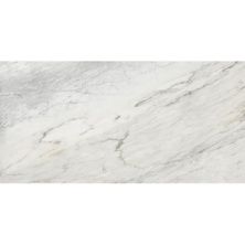 Плитка из керамогранита GRS0118 Ellora Ashy для стен и пола, универсально 60x120
