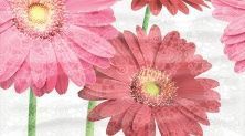 Керамическая плитка Dec Gerbera Panno A КПН16GerberaA Панно 25x45