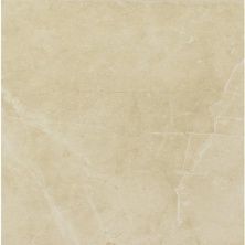 Керамическая плитка EvolutionMarble Tozzeto MJZW Вставка 15x15