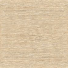 Плитка из керамогранита Wood Beige FT3WOD08 для пола 41x41