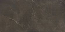 Плитка из керамогранита Maxie/Stonemood Brown Rect для стен и пола, универсально 59,7x119,7