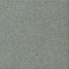 Плитка из керамогранита BASIC 610010000088 Бэзик Свинец для стен и пола, универсально 60x60