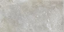 Плитка из керамогранита Pav Explora Silver Lapp Rett для стен и пола, универсально 60x120