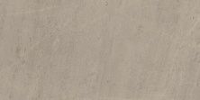 Плитка из керамогранита 610015000399 Вайз Сильвер Грей Лаппато Рет для стен и пола, универсально 60x120