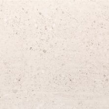 Плитка из керамогранита P1857095 Prada Caliza для стен и пола, универсально 59,6x59,6