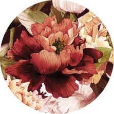 Galatia Peony d12 Декор 12x12