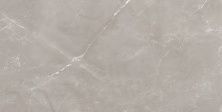 Плитка из керамогранита Vitrum Grigio серый полированный для стен и пола, универсально 60x120