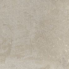 Плитка из керамогранита Magnum Taupe бежевый матовый для стен и пола, универсально 60x60