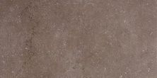 Плитка из керамогранита Дайсен Коричневый SG211400R обрезной для стен и пола, универсально 30x60