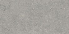 Плитка из керамогранита Newcon Серебристо-серый K945752R0001VTE0 для стен и пола, универсально 30x60