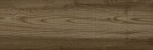 Плитка из керамогранита Nicoletti коричневый 6064-0473 для стен и пола, универсально 20x60