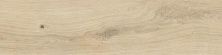 Плитка из керамогранита O-GWN-GGO104 Grandwood Natural песочный для стен и пола, универсально 19,8x119,8