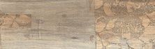 Плитка из керамогранита Floralwood глаз, бежевый C-FW4M012D для стен и пола, универсально 18,5x59,8