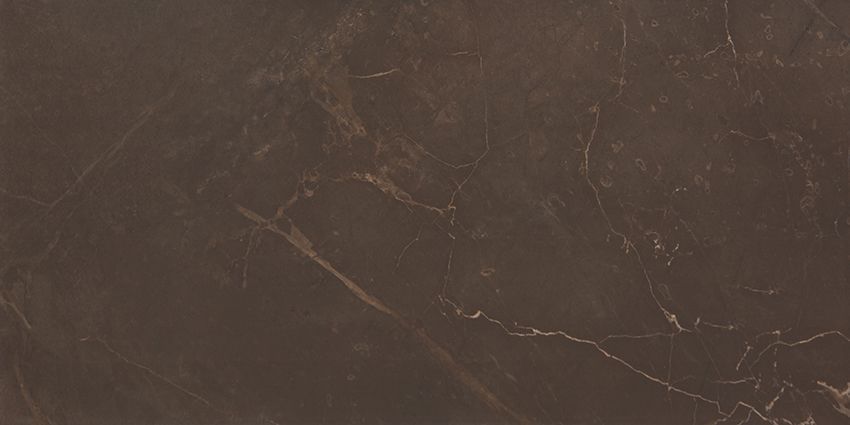 Керамическая плитка Blanket Marble Marron WT9MRB21 для стен 24,9x50