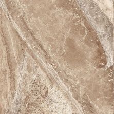 Плитка из керамогранита Oasis IMPERADOR CHOCO POLISHED для стен и пола, универсально 60x60