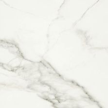 Плитка из керамогранита Carrara Premium белый 01 для пола 60x60