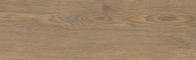 Плитка из керамогранита Chesterwood Royalwood глаз бежевый C-RK4M012D для пола 18,5x59,8