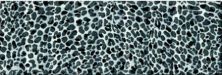 Керамическая плитка Aure Decor Leopard B27 Декор 15x45