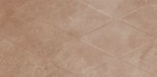 Керамическая плитка Rhombus Geo Bronze WT9ROG31 для стен 24,9x50