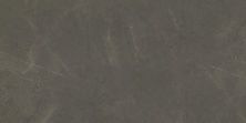 Плитка из керамогранита ELEGANCE 01424 VIA MONTENAPOLEONE LEV/RET для стен и пола, универсально 60x120