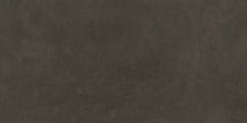 Плитка из керамогранита DD592800R Про Фьюче коричневый обрезной. Универсальная плитка (60x119,5)
