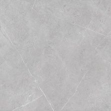 Плитка из керамогранита Вомеро серый светлый лаппатированный SG452602R для пола 50,2x50,2