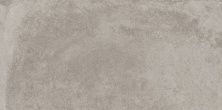 Плитка из керамогранита Lofthouse серый C-LS4O092D для стен и пола, универсально 29,7x59,8