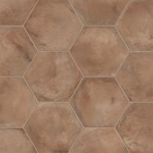 Плитка из керамогранита Terra Rosso Esagono для стен и пола, универсально 25x21,6