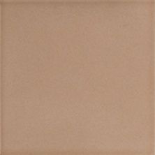 Керамическая плитка Colore C&C B1 20 для стен 20x20